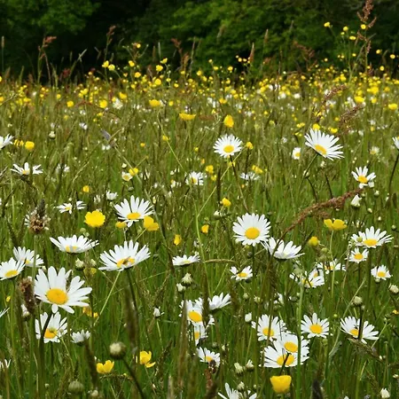 بيت للعطل L' Anpeg, Dans Le Cotentin Jusqu'a 8 Personnes Besneville