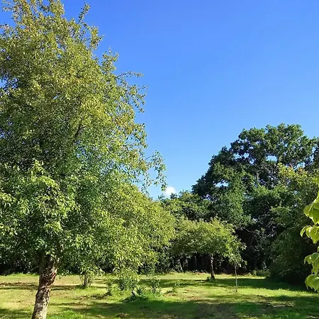 L' Anpeg, Dans Le Cotentin Jusqu'a 8 Personnes Besneville