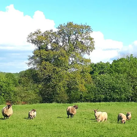 L' Anpeg, Dans Le Cotentin Jusqu'a 8 Personnes * Besneville