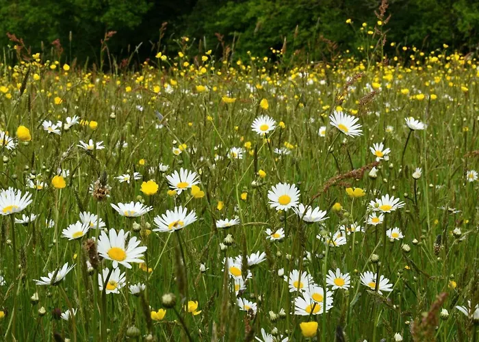 Σπίτι διακοπών L' Anpeg, Dans Le Cotentin Jusqu'a 8 Personnes Besneville