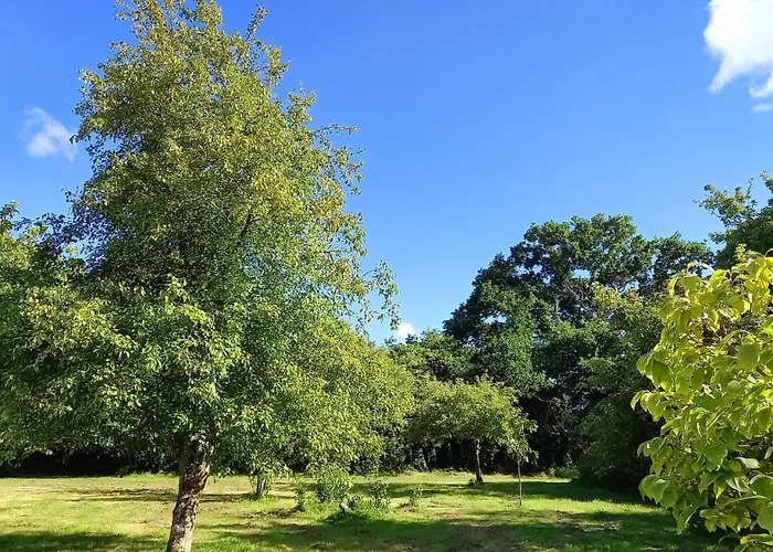 L' Anpeg, Dans Le Cotentin Jusqu'a 8 Personnes Besneville