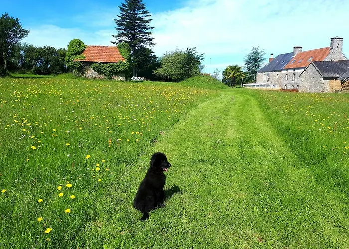 L' Anpeg, Dans Le Cotentin Jusqu'a 8 Personnes 別荘 *