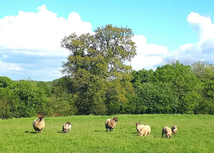 L' Anpeg, Dans Le Cotentin Jusqu'a 8 Personnes * Besneville